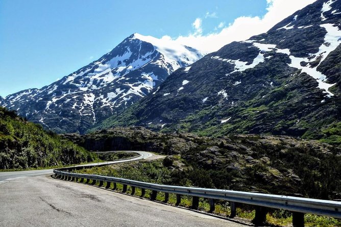 Skagway Shore Excursion: White Pass Summit and Skagway City Tour - How the guides shape the experience