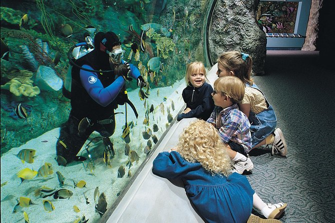 Skip the Ticketing Line: Aquarium of the Pacific General Admission Ticket - From Alaska’s cold waters to Tropical Pacific reefs