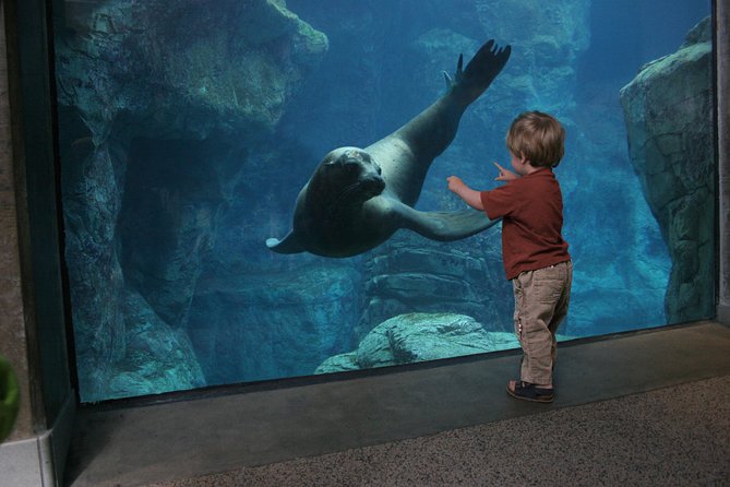 Skip the Ticketing Line: Aquarium of the Pacific General Admission Ticket - Food, maps, and practical comfort