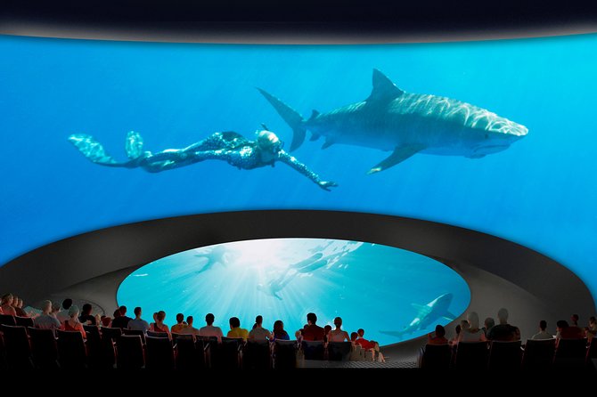 Skip the Ticketing Line: Aquarium of the Pacific General Admission Ticket - Who will get the most from this aquarium visit