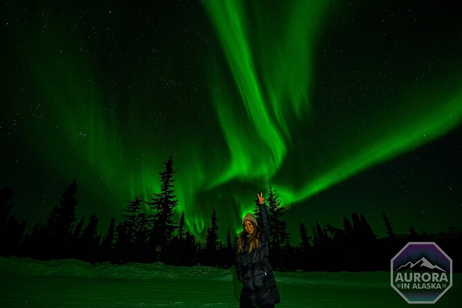 SkyChase™ | Northern Lights Experience - Free Photography & More - Should you book this Fairbanks aurora tour?