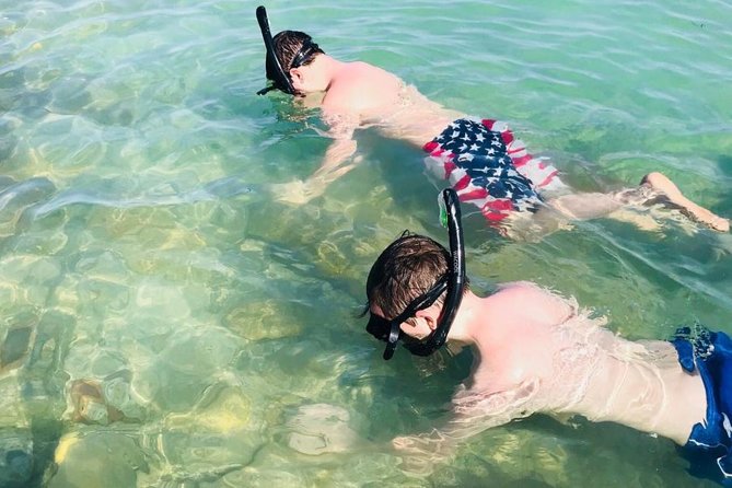 Small Group 2 Hour Dolphin Cruise with Snorkeling to Shell Key - A two-hour outing with two very different moods