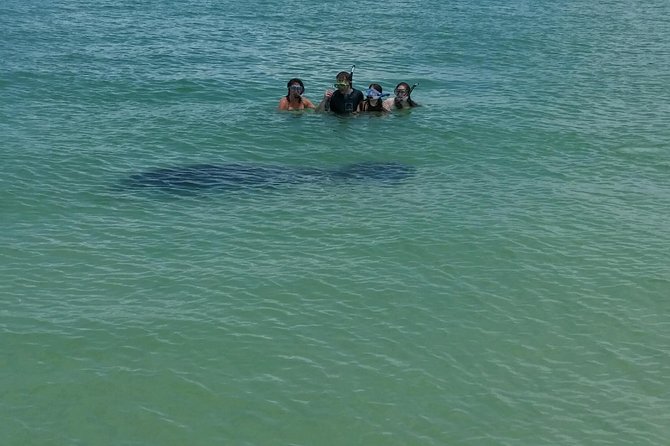 Small Group 2 Hour Dolphin Cruise with Snorkeling to Shell Key - Shell Key Wildlife Preserve and its white-sand beach