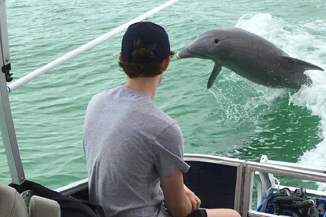 Small Group 2 Hour Dolphin Cruise with Snorkeling to Shell Key - Boca Ciega Bay: where the dolphin search begins