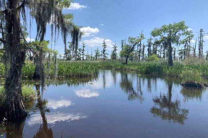 Small-Group Airboat Swamp Tour with Downtown New Orleans Pickup - Leaving New Orleans for the Barataria swamps