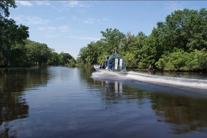 Small-Group Airboat Swamp Tour with Downtown New Orleans Pickup - The wildlife encounters are close, but not completely wild