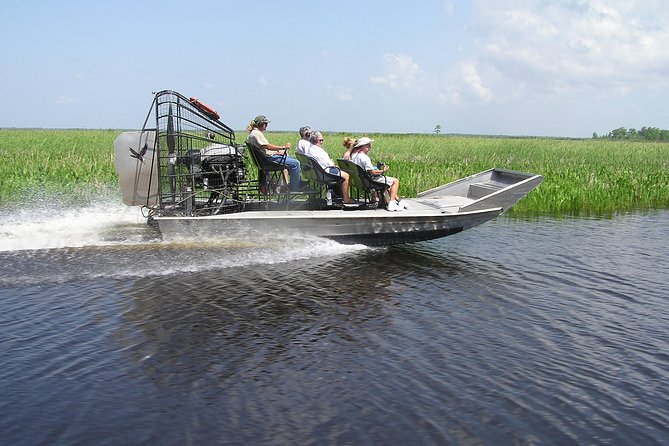 Small-Group Bayou Airboat Ride with Transport from New Orleans - Alligators, birds, and the limits of wildlife viewing