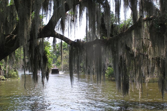 Small-Group Bayou Airboat Ride with Transport from New Orleans - The guides can shape the entire outing