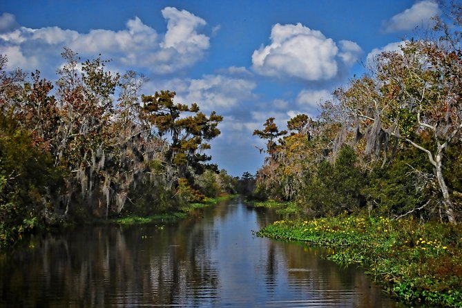 Small-Group Bayou Airboat Ride with Transport from New Orleans - Choosing morning or afternoon