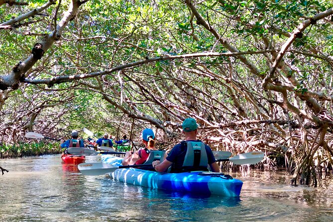 Small Group Kayak Tour of the Shell Key Preserve - Why Shell Key works well from a kayak