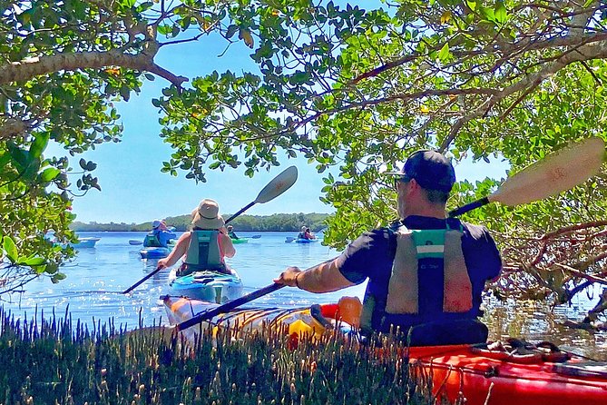 Small Group Kayak Tour of the Shell Key Preserve - Paddling into the mangrove channels