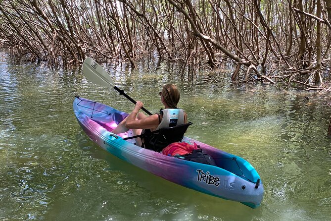 Small Group Kayak Tour of the Shell Key Preserve - Crossing open water to Shell Key