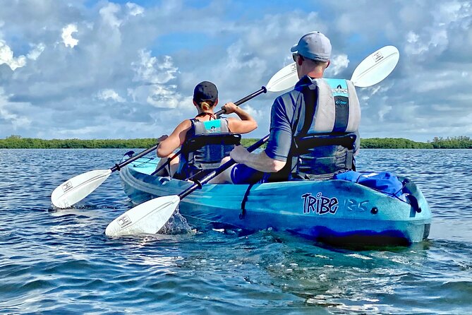 Small Group Kayak Tour of the Shell Key Preserve - The Shell Key beach stop