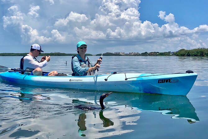 Small Group Kayak Tour of the Shell Key Preserve - What guides add to the three-hour outing