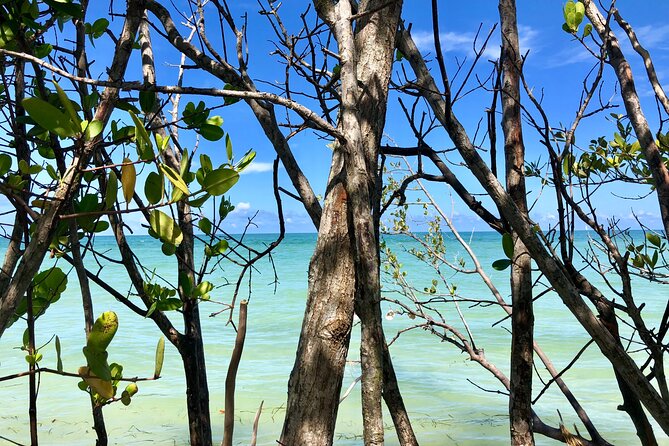 Small Group Kayak Tour of the Shell Key Preserve - Price, comfort, and what to pack