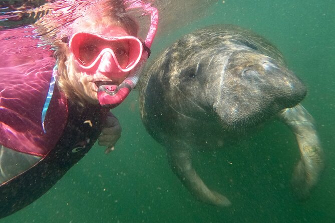 Small Group Manatee Snorkel Tour with In-Water Guide and Photographer - Why Crystal River manatees are worth the morning