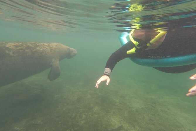 Small Group Manatee Snorkel Tour with In-Water Guide and Photographer - Time in the water with the guide