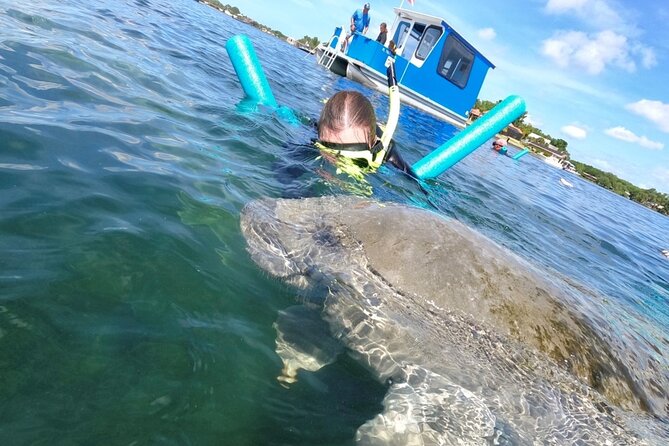 Small Group Manatee Snorkel Tour with In-Water Guide and Photographer - Underwater photos and what you actually pay for