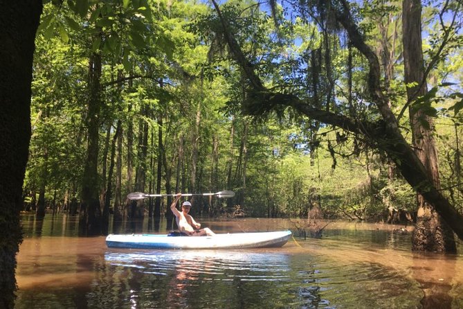 Small-Group Manchac Swamp Kayak Tour - Learning to paddle before the narrow channels
