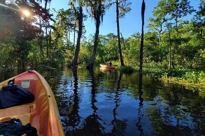 Small-Group Manchac Swamp Kayak Tour - Looking for alligators, owls, and wetland birds