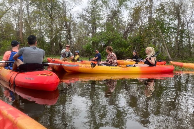 Small-Group Manchac Swamp Kayak Tour - Weather, mosquitoes, and what to wear