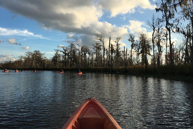 Small-Group Manchac Swamp Kayak Tour - How the small group affects the experience