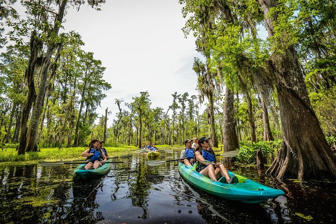 Small-Group Manchac Swamp Kayak Tour with Local Guide - Key points for your Manchac Swamp outing