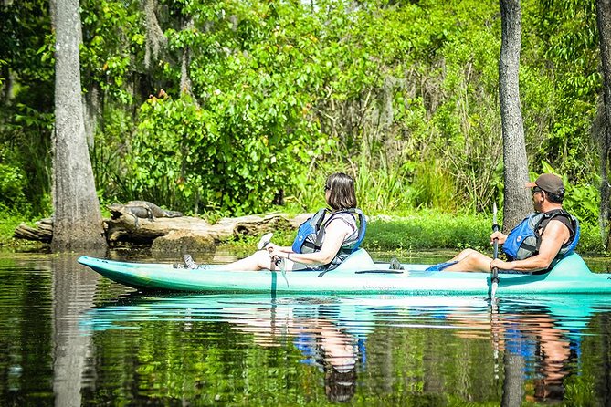 Small-Group Manchac Swamp Kayak Tour with Local Guide - Why Manchac Swamp makes a good New Orleans side trip