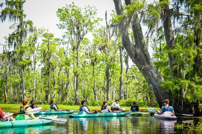 Small-Group Manchac Swamp Kayak Tour with Local Guide - Weather, clothing, and comfort