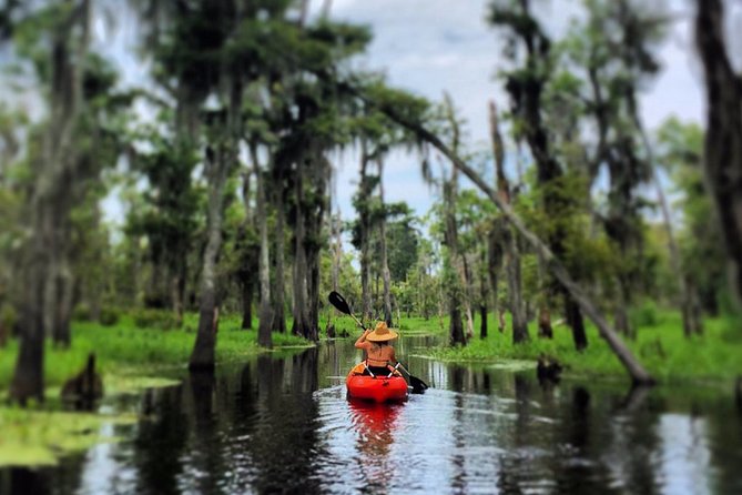 Small-Group Manchac Swamp Kayak Tour - Paddling through cypress and tupelo country