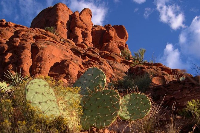 Small Group or Private Sedona and Native American Ruins Day Tour - Pickup is the detail most likely to affect your day