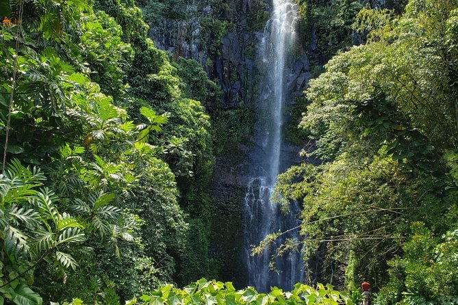 Small-Group Road to Hana Adventure Tour with Pickup & Lunch - Key things to know before booking