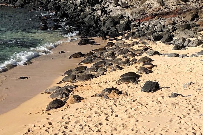 Small-Group Road to Hana Adventure Tour with Pickup & Lunch - Pua’a Ka’a brings a chance to get wet