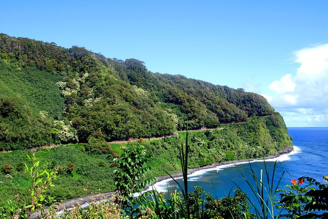 Small-Group Road to Hana Luxury Tour - Why the Road to Hana works best with a driver