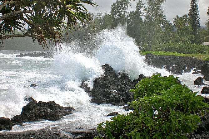 Small-Group Road to Hana Luxury Tour - Keʻanae Point, taro fields, and rough volcanic shore