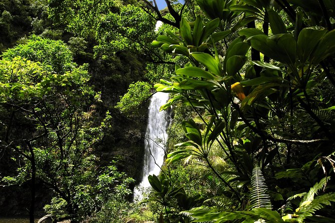 Small-Group Road to Hana Luxury Tour - Hana, lunch, and the value of slowing down