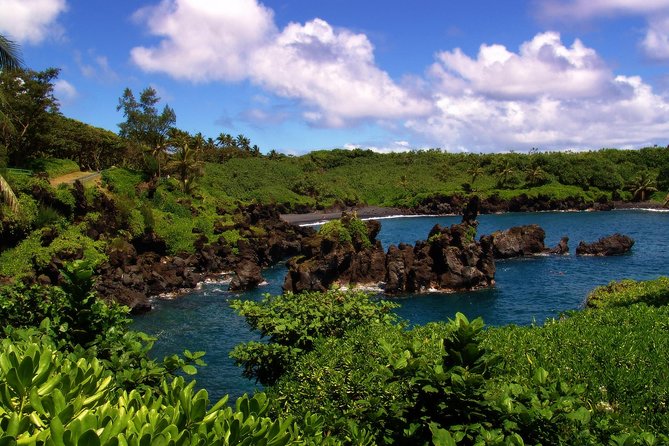 Small-Group Road to Hana Luxury Tour - What the guides add to the drive