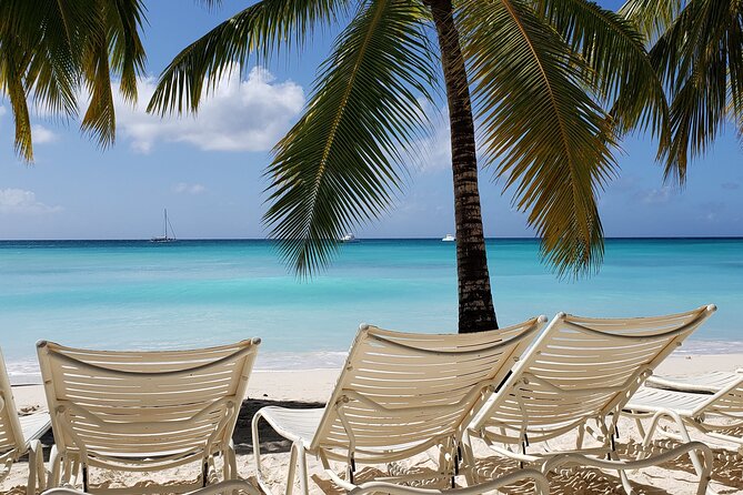 Small Group: Saona Island Full Day Tour - Why the Early Start Matters on Saona Island