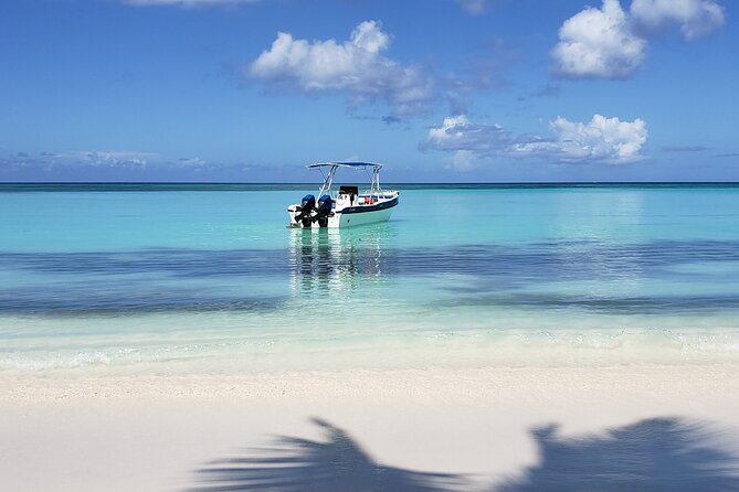 Small Group: Saona Island Full Day Tour - Palmilla Beach and the Starfish Stop