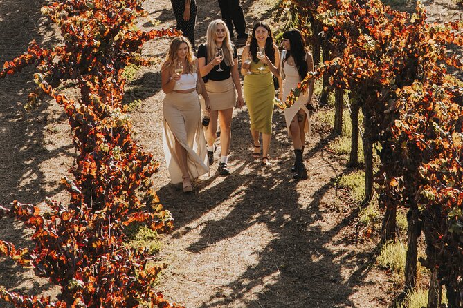 Small Group: Ultimate Napa & Sonoma Wine Tour from San Francisco - Two free hours around Sonoma Plaza