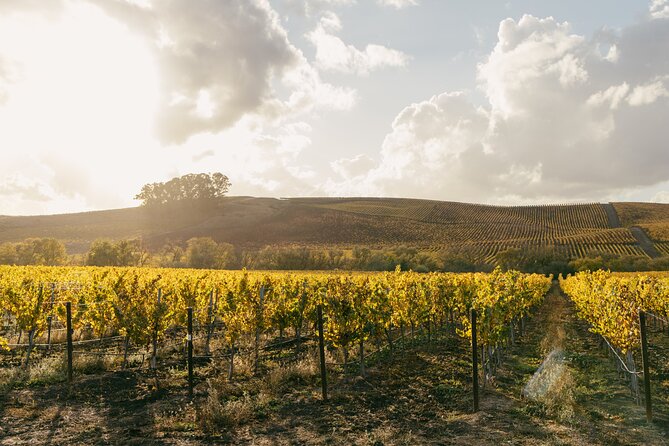 Small Group: Ultimate Napa & Sonoma Wine Tour from San Francisco - What $179 buys you