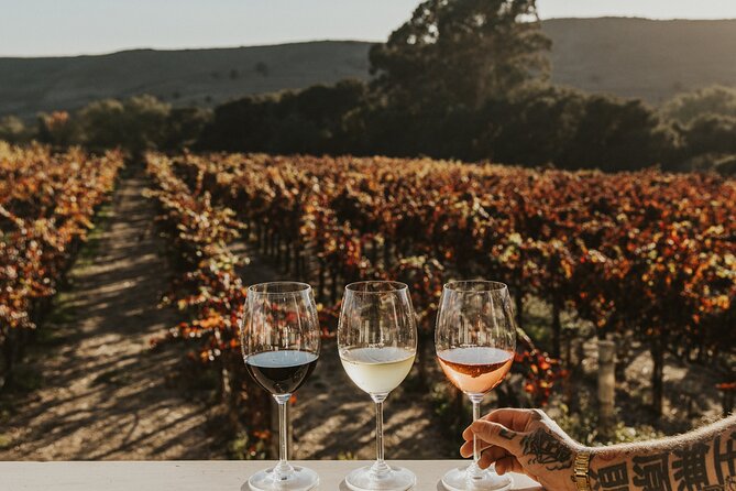 Small Group: Ultimate Napa & Sonoma Wine Tour from San Francisco - Who should book this tour