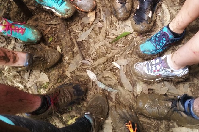 Small Group Waterfall and Rainforest Hiking Adventure on Maui - From Kahului to the Hana Highway