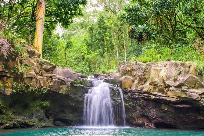 Small Group Waterfall and Rainforest Hiking Adventure on Maui - What the $187.43 price buys you