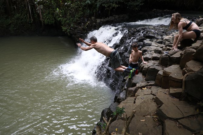Small Group Waterfall and Rainforest Hiking Adventure on Maui - Who will enjoy this Maui adventure most