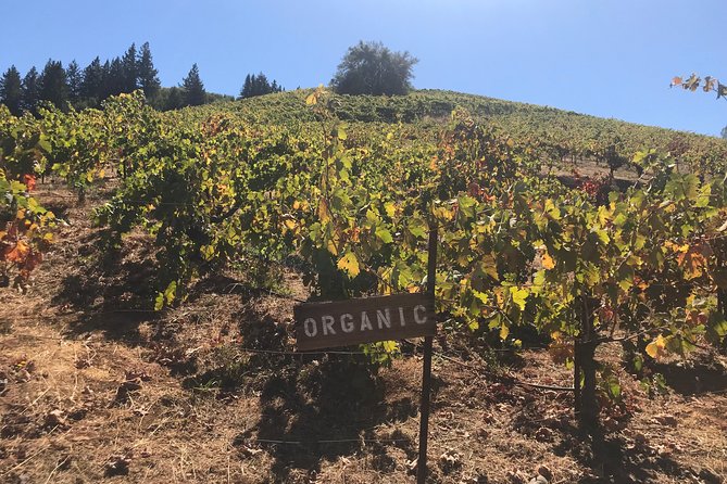 Small-Group Wine Country Tour from San Francisco with Tastings - Is $179 a fair price?