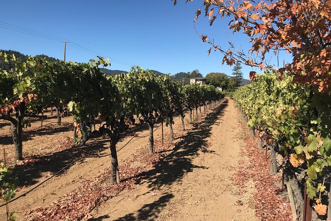 Small-Group Wine Country Tour from San Francisco with Tastings - Who should book this day trip?