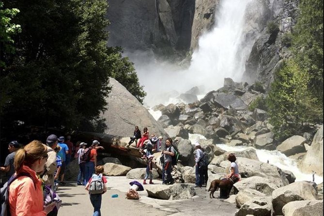 Small Group Yosemite and Giant Sequoias Day Trip from San Francisco - Bridalveil Fall brings the water close