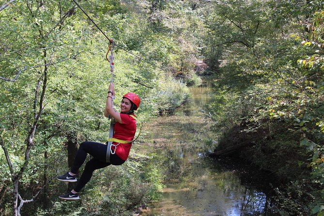 Small-Group Zipline Tour in Hot Springs - Quick takeaways from the Hot Springs zipline course