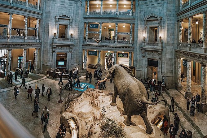 Smithsonian Museum of Natural History - Exclusive Guided Tour - Dinosaurs, T. Rex, and the Story of Extinction